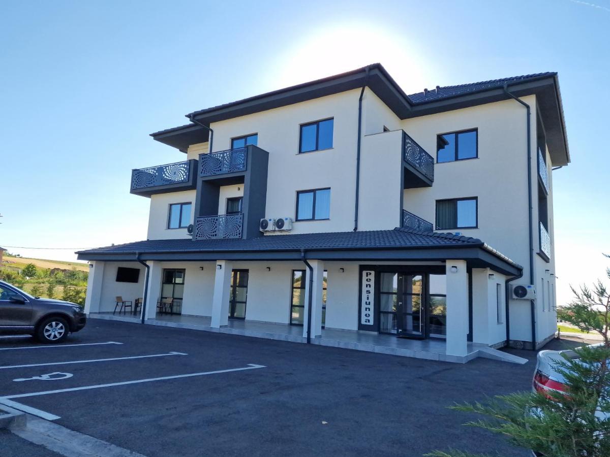 Pensiunea Harmony Baile Felix Exterior photo